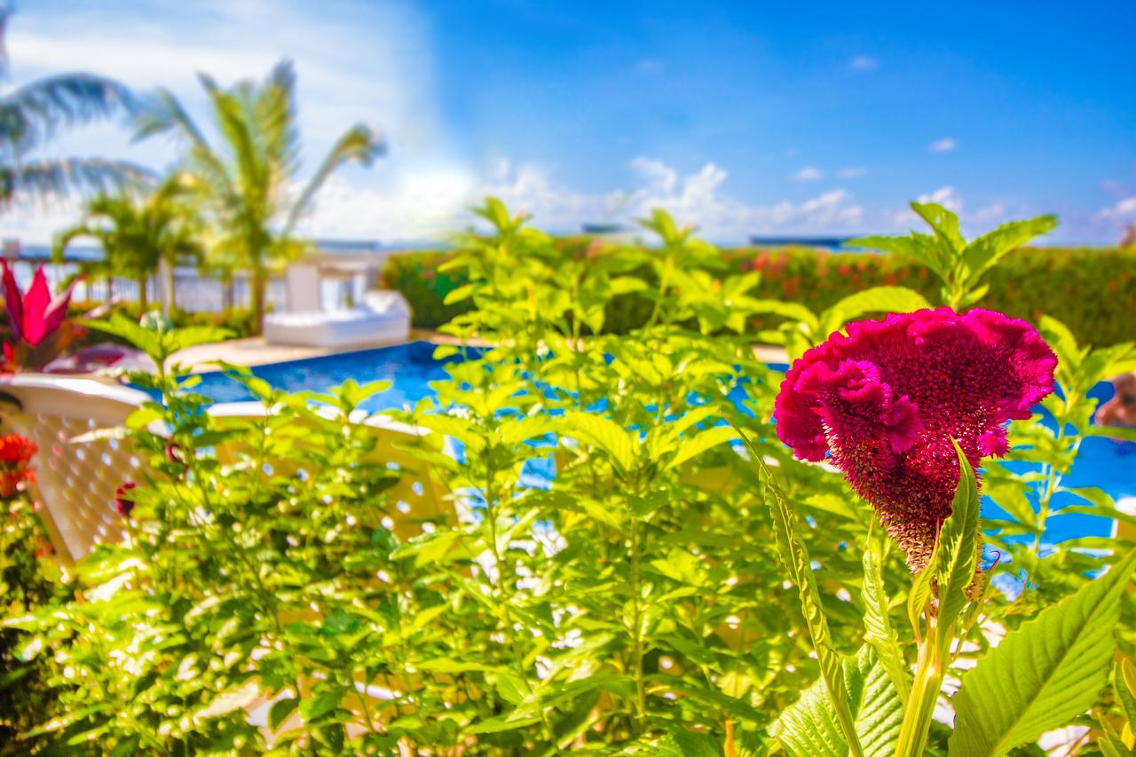 Hotel Aria Manzanillo Cartagena Dış mekan fotoğraf